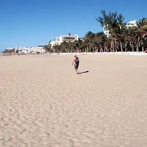 https://palm-garden-attico.hotelsfuerteventura.org